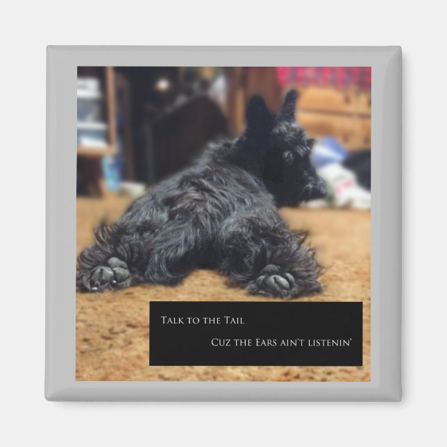 Talk to the Tail Magnet (Front)