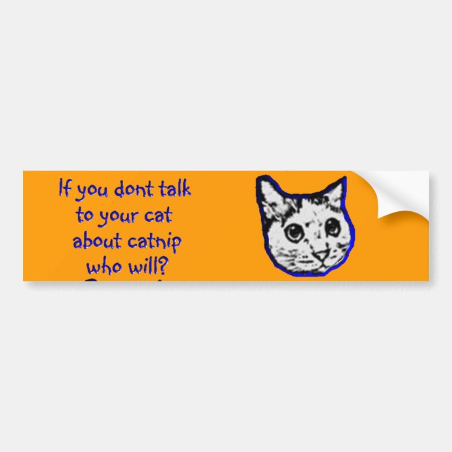 Talk to your cat about catnip bumper sticker (Front)