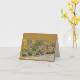 TALK TURKEY card Thanksgiving Turkeys personalise