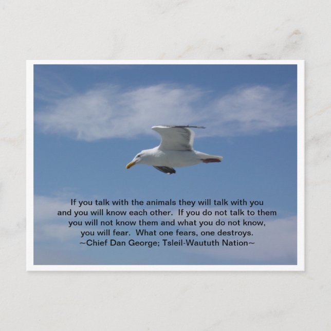 Talk With the Animals Postcard (Front)