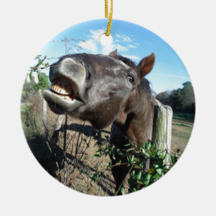 Talking Brown Horse Ceramic Tree Decoration