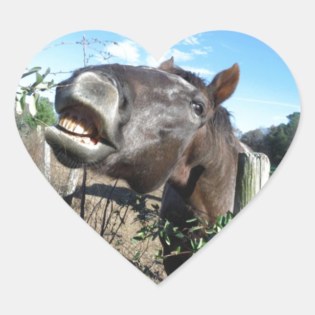 Talking Brown Horse Heart Sticker (Front)