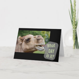 Talking Camel What Day Is It? Photo Greeting Cards