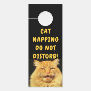 Talking Cat says Please Knock Napping Door Hanger