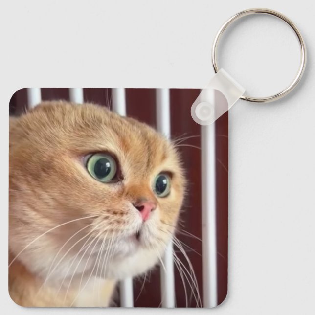 Talking Cats Meme Double Sided Keychain (Back)
