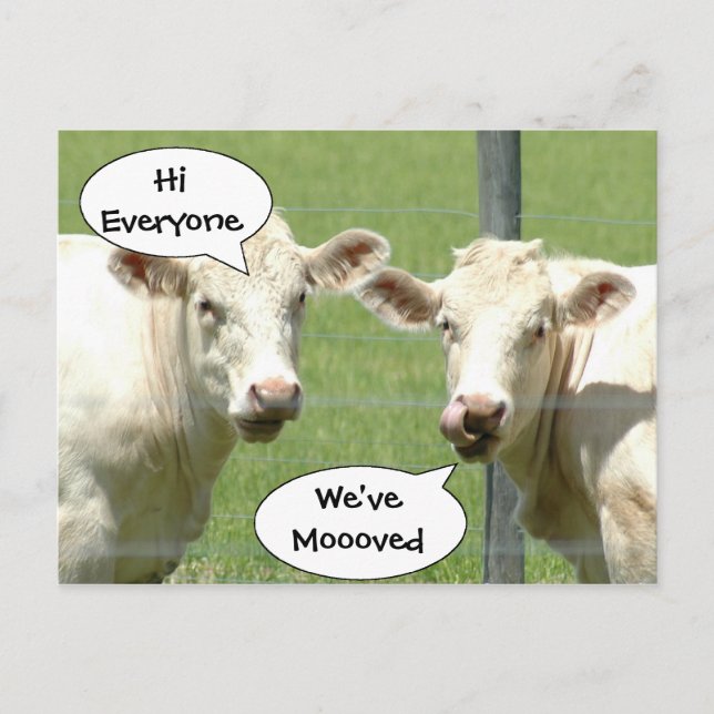 Talking Cows Change of Address Postcard (Front)