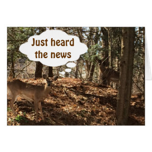 TALKING DEER COUPLE SAYS "YOU ARE ***21***