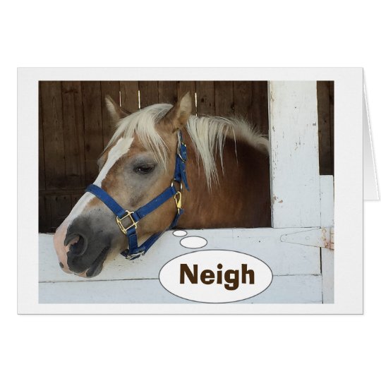 TALKING HORSE SAY NEIGH-YOU ARE HOW OLD? CARD