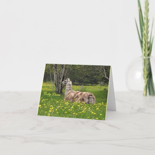 Talking Llama Cards (Front)