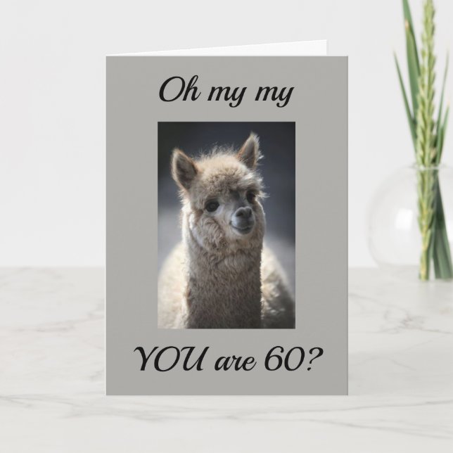**TALKING LLAMA**  GREETING" FOR "60th" BIRTHDAY Card (Front)