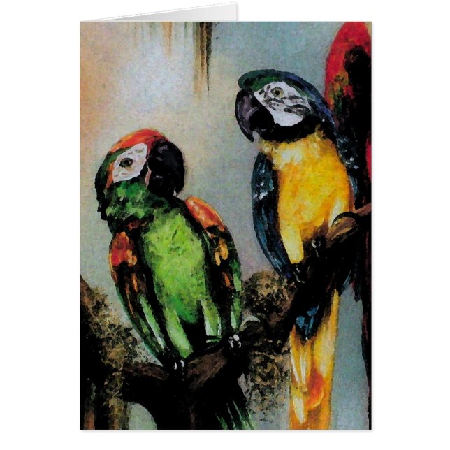 Talking Parrots ~ Card (Front)