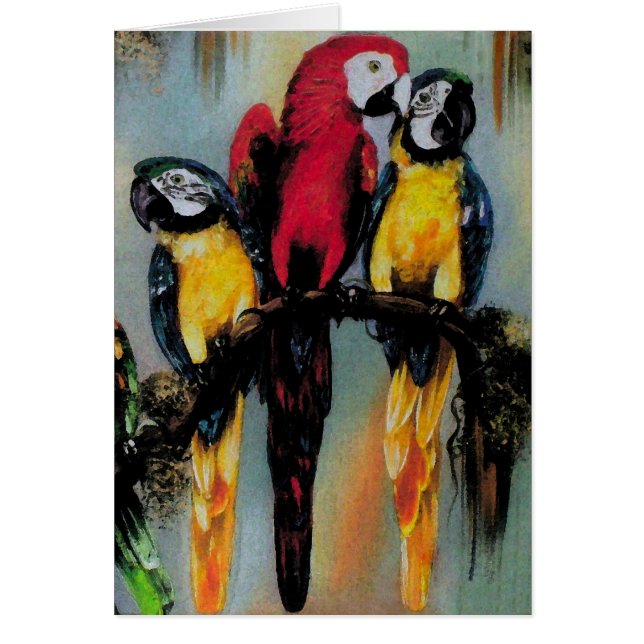 Talking Parrots ~ Card (Front)