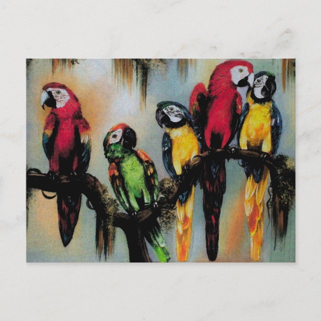 Talking Parrots ~ Postcard Bird Nature Wild (Front)