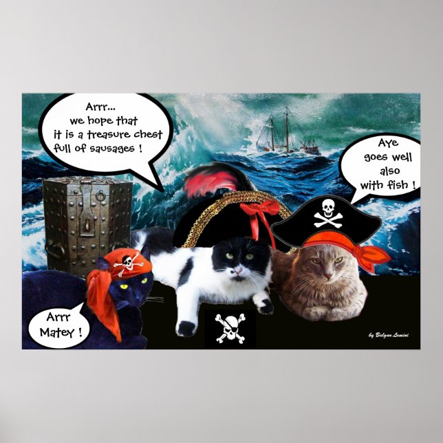 TALKING PIRATE CATS AND SHIP IN THE SEA STORM POSTER (Front)