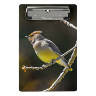 tall2 mini clipboard