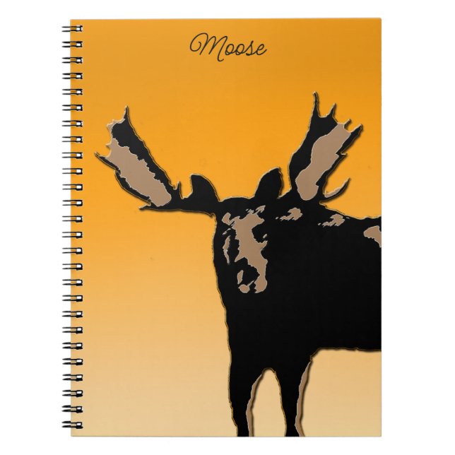Tall 11x17 notebook (Front)