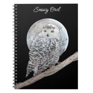 Tall 21x35 notebook