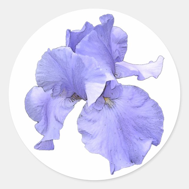 Tall Bearded Purple Iris Classic Round Sticker (Front)