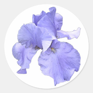 Tall Bearded Purple Iris Classic Round Sticker