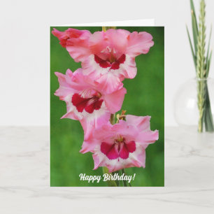 Tall Beautiful Gladiolus Pink Flowers Birthday Card