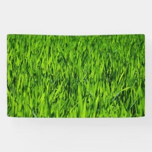 Tall Blades of Grass Banner