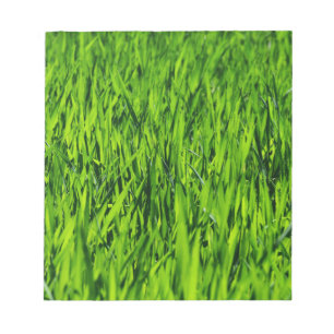 Tall Blades of Grass Notepad