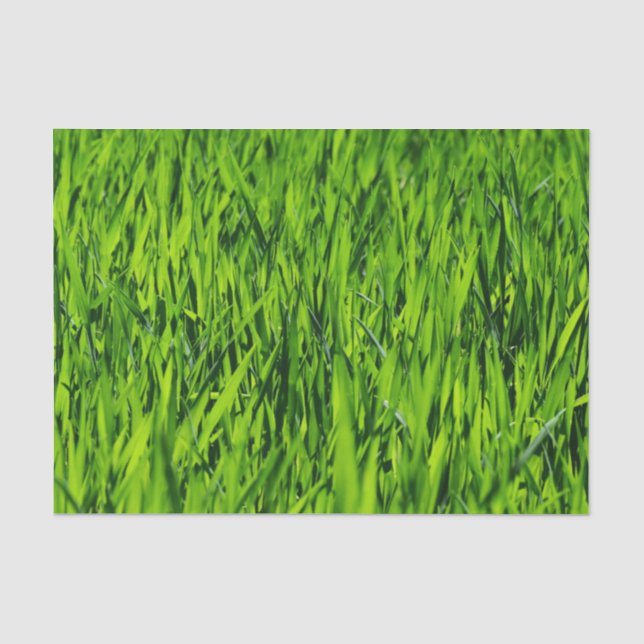 Tall Blades of Grass Tissue Paper (Front)