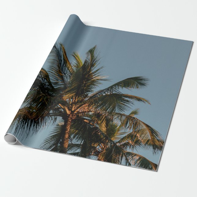 Tall coconut tree wrapping paper (Unrolled)