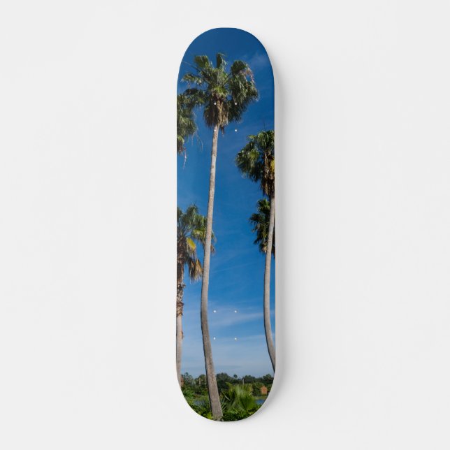 Tall Curving Palms Skateboard (Front)