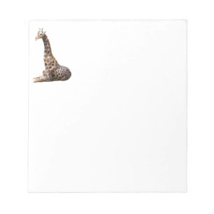 Tall Cute Giraffe Real Animal Photo Notepad