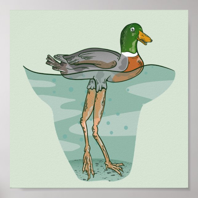 Tall duck with long legs poster (Front)