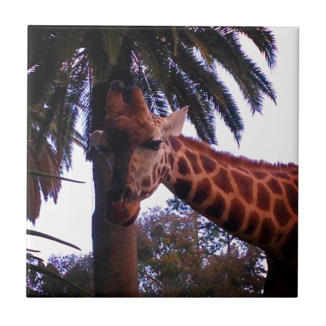 Tall Giraffe Tales Under The Palm Tree, Ceramic Tile (Front)