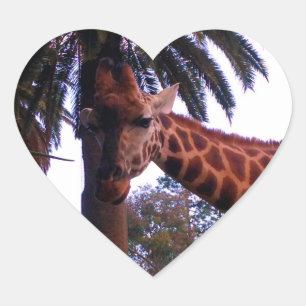 Tall Giraffe Tales Under The Palm Tree, Heart Sticker