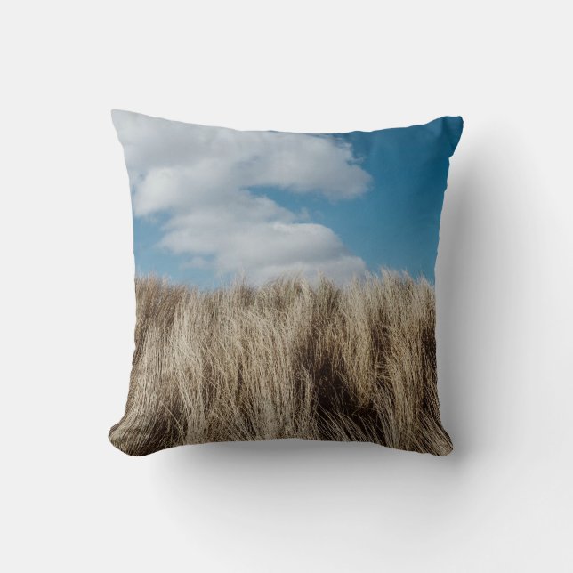 Tall grass under cumulus clouds cushion (Front)