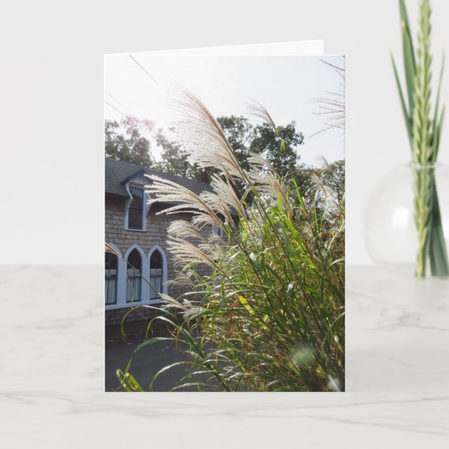 Tall Grasses Arched Windows - Martha's Vineyard Card (Front)