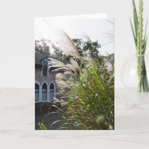 Tall Grasses Arched Windows - Martha's Vineyard Card
