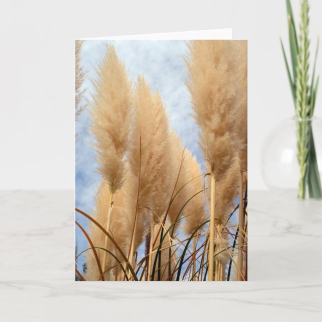 Tall Grasses Blank Greeting Card (Front)