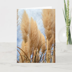 Tall Grasses Blank Greeting Card