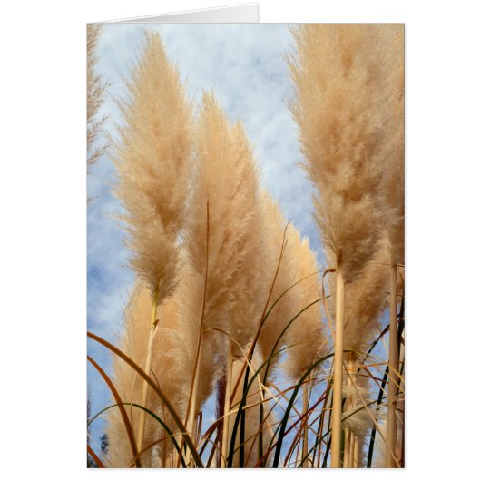 Tall Grasses Blank Greeting Card
