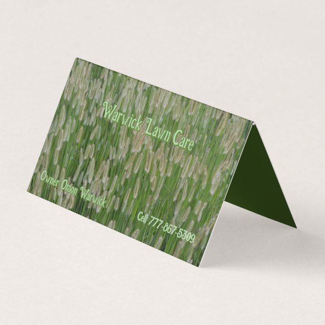 Tall Green Grasses Seeds Business Card (Front)