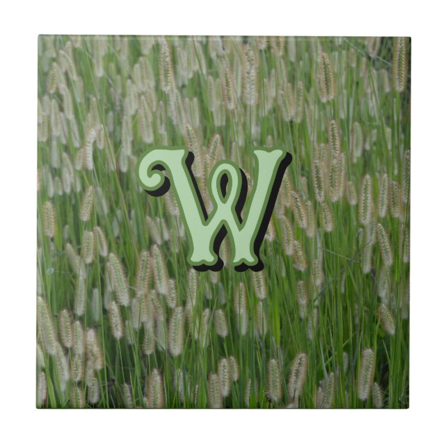 Tall Green Grasses Seeds Ceramic Tile (Front)