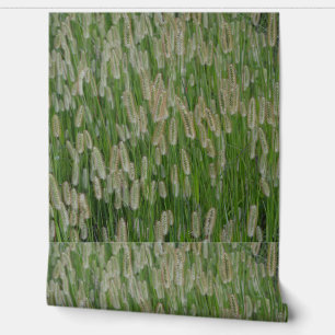 Tall Green Grasses Seeds Wallpaper