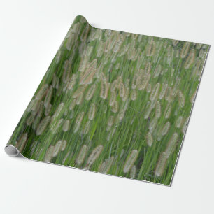 Tall Green Grasses Seeds Wrapping Paper