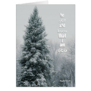 Tall Pine Tree Snow Storm Christian Message