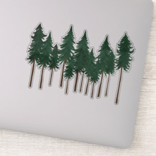 Tall Pine Trees Forest