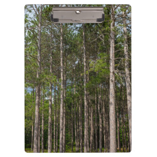 Tall Pines Clipboard