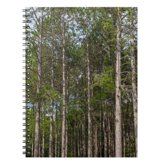 Tall Pines Notebook (Front)