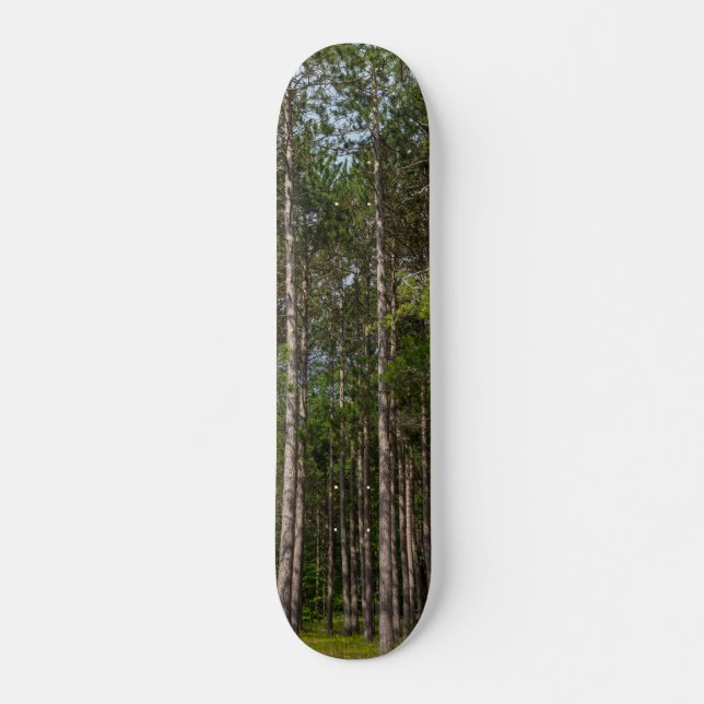Tall Pines Skateboard (Front)
