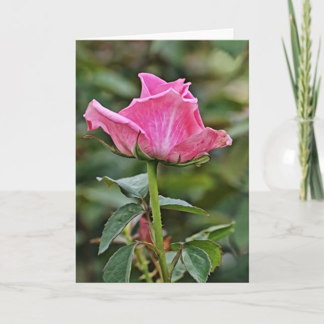 Tall Pink Rose Art Note Card (Front)