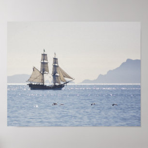 Tall ship Lady Washington poster